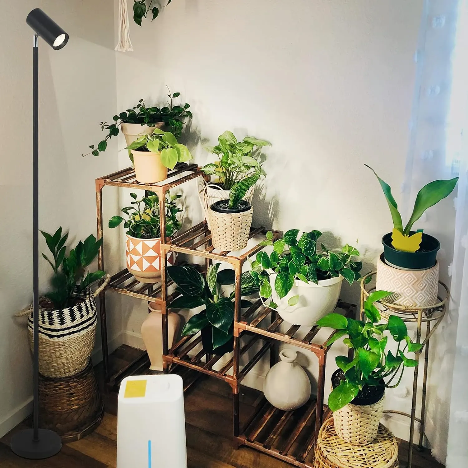 Adjustable Height Grow Light with Timer, 75 in