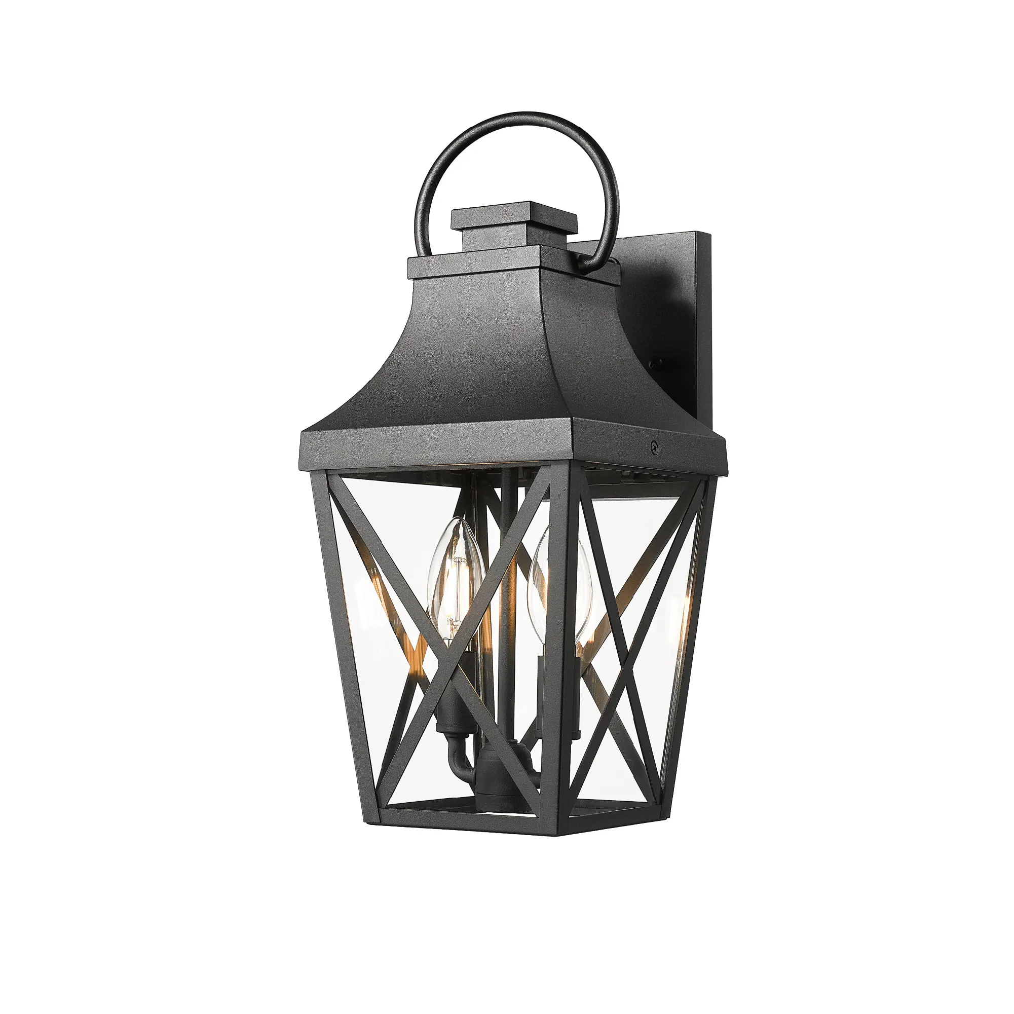Matte Black Clear Glass Outdoor Wall Light, image 9 of 12