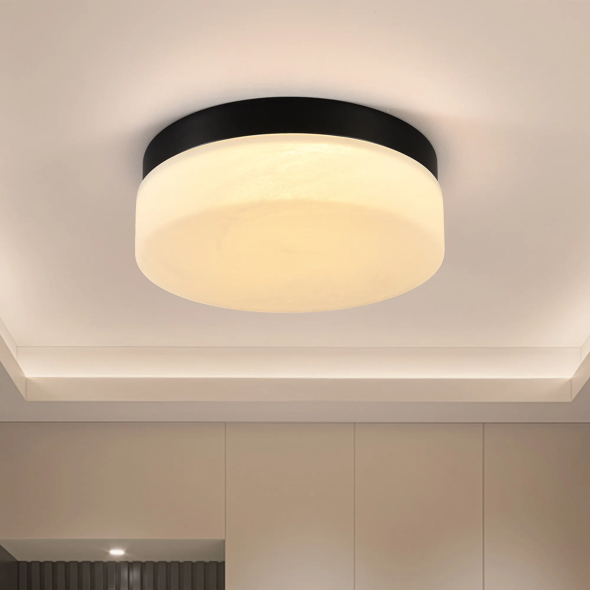 Modern Black Flush Mount Ceiling Light, 12 in · Dimmable